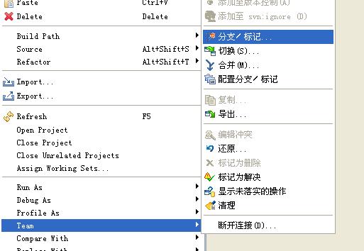 SVN使用教程之-分支/标记 合并 subeclipse 