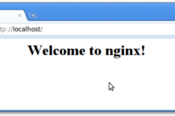 ubuntu下nginx+php+mysql安装配置