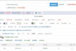 周末羽毛球活动